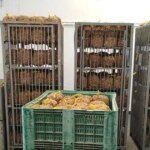 caracoles-fabrica-khqF-1200x630@diario_abc.jpg