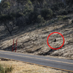 detail-on-hillside_8033.png