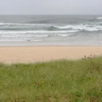 f010fe8e6f50e888cbffabfd7ebfee59.webp