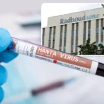hantavirus.webp