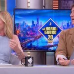 hormiguero-U77730538047nWW-1200x630@diario_abc.jpg