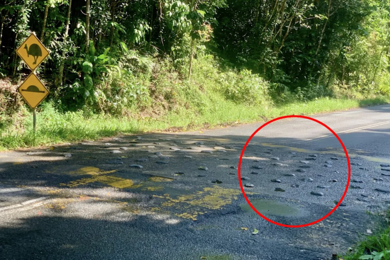 speed-humps-queensland_4242.png
