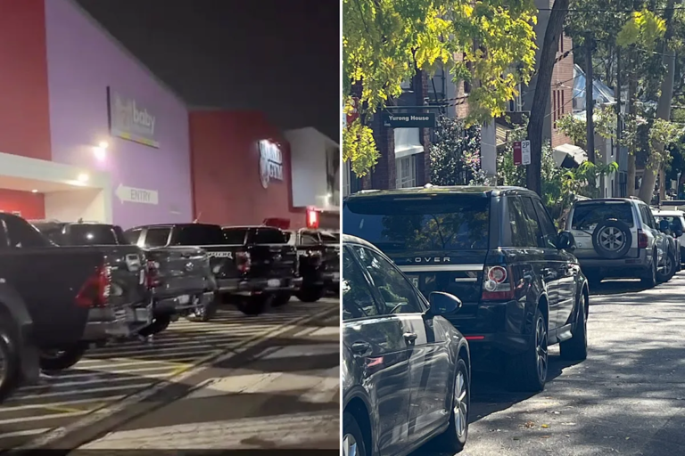 suvs-large-cars_8773.png