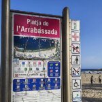 1513484828-kR5H-1200x630@diario_abc.jpg