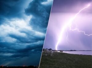 19_06_2026-zwijndrecht-code-oranje-met-een-oranje-lucht-een-reiger-vliegt-nog-snel-naar-een-beschut.jpeg