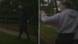 3b6632de5c8889904b0c13fed92fadf581af57b2-16x9-x0y0w256h144.gif