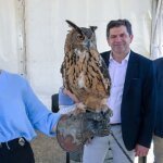 Feria20Agudo-U73272042055AxQ-1200x630@diario_abc.jpg