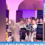 alfonso-arus-famosos-casita-bad-bunny-U16588757837kbR-1200x630@diario_abc.jpg