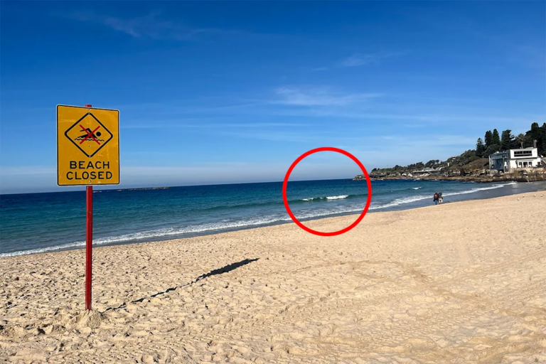 beaches_1964.png