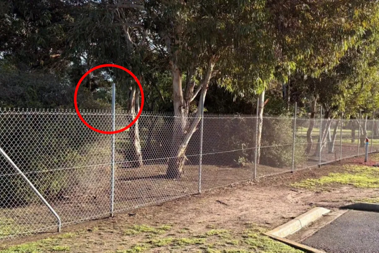 council-fence_8332.png