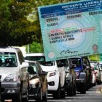 driver-s-licence-sa_7543.jpg