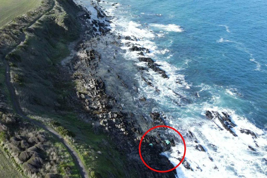 ghost-nets-pollution-fishing_3491.png