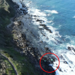 ghost-nets-pollution-fishing_3491.png