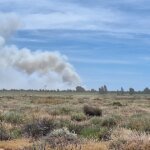 incendio-de-gibraleon-U07158583122Qyl-1200x630@diario_abc.jpg