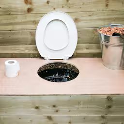 man-valt-in-tank-onder-droogtoilet-op-camping-in-vs-en-zit-kwartier-vast.jpg