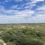 onrust-op-de-wadden-over-mogelijk-afsluiten-natuur-het-is-genoeg-geweest.jpg