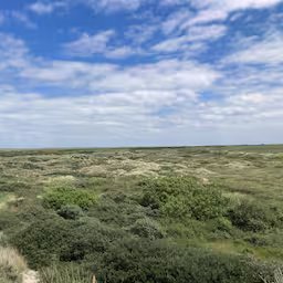 onrust-op-de-wadden-over-mogelijk-afsluiten-natuur-het-is-genoeg-geweest.jpg