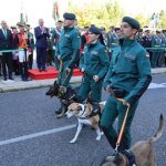 perros-U60888007570OEp-1200x630@diario_abc.jpg