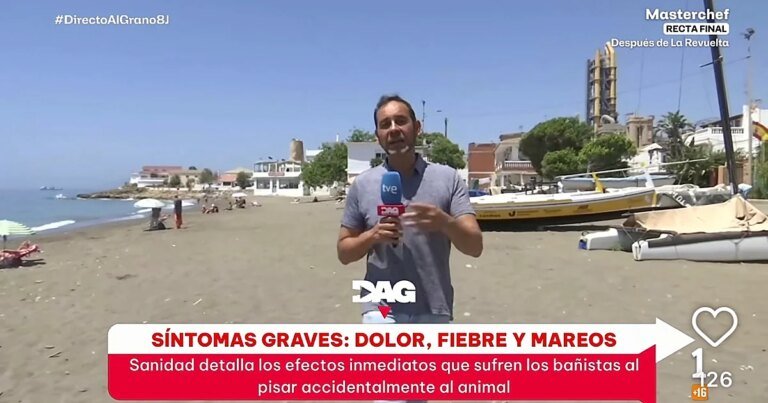 pez20peligroso-U05836148263qxE-1200x630@diario_abc.jpeg