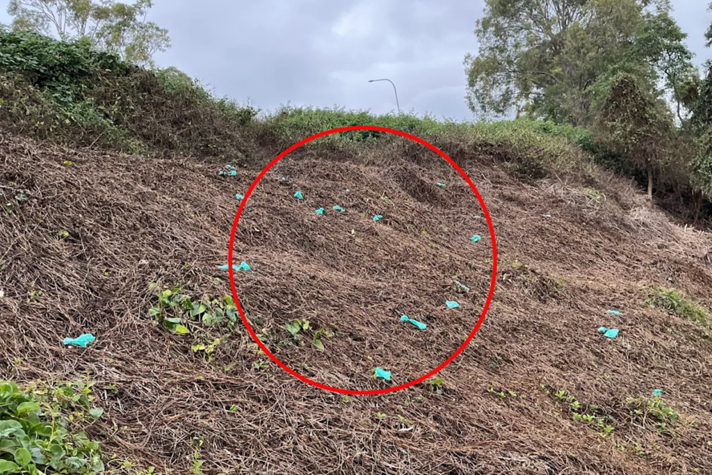 shellharbour-city-council-dog-poo_0713.png