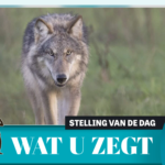 telegraaf-wat20u20zegt-stelling-van-de-dag-20260624.png