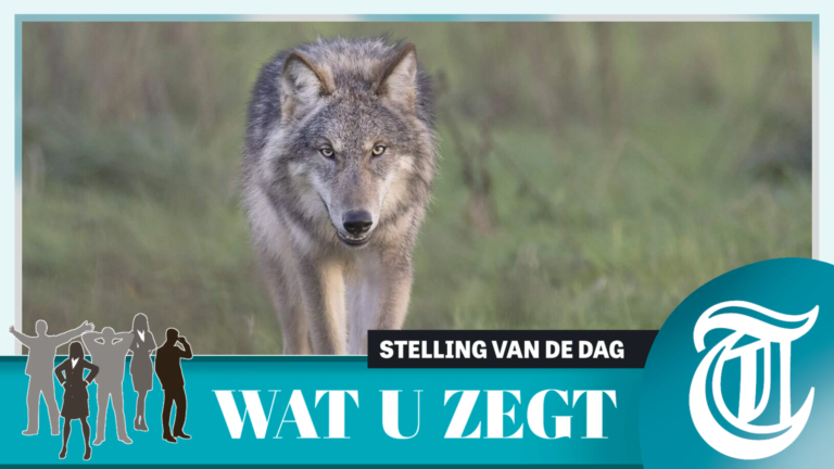 telegraaf-wat20u20zegt-stelling-van-de-dag-20260624.png