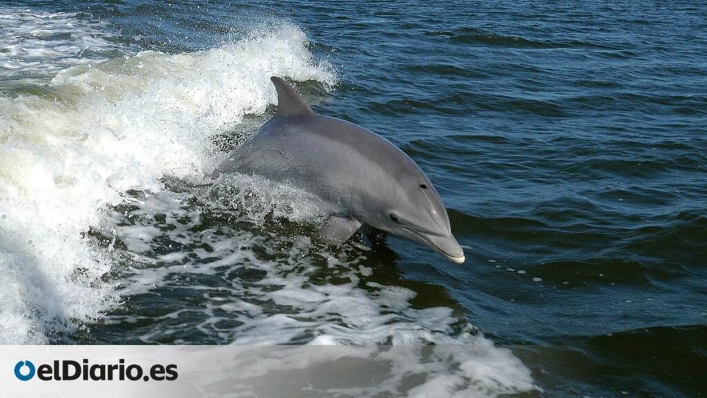 5355aa48-6cf9-43d1-847e-726c19439fb2_facebook-watermarked-aspect-ratio-1200-675_default_0.jpg