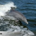 5355aa48-6cf9-43d1-847e-726c19439fb2_facebook-watermarked-aspect-ratio-1200-675_default_0.jpg