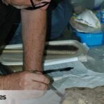 67e80fd1-fda5-47af-8c5a-c9e92f44233f_facebook-watermarked-aspect-ratio-1200-675_default_0.jpg