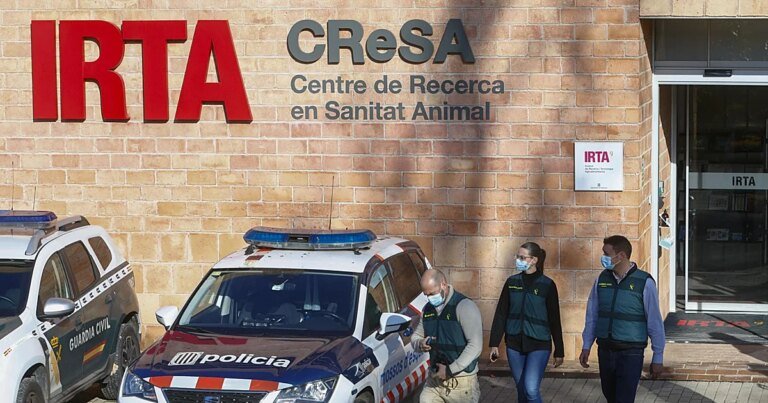 DAMBin-U51852546387MSu-1200x630@diario_abc.jpeg