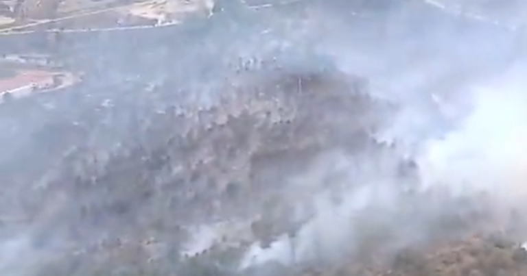 INCENDIO-ARAGON-k80C-1200x630@diario_abc.png
