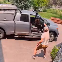 amerikaan-werkt-met-plank-beer-uit-zijn-auto.jpg
