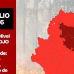 aragon-rojo-plus-U80876327503bcv-1200x630@diario_abc.jpg