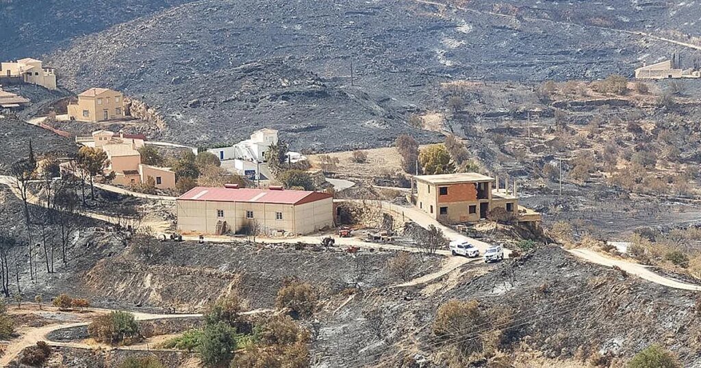 casas-incendio-almeria-U15153372778zBd-1200x630@diario_abc.jpeg