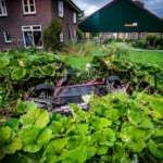 de-auto-kwam-ondersteboven-in-de-tuin-terecht.webp