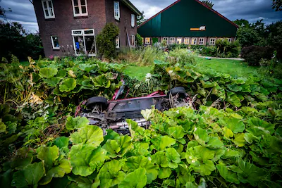 de-auto-kwam-ondersteboven-in-de-tuin-terecht.webp