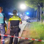 de-auto-vloog-na-het-ongeluk-in-brand.webp