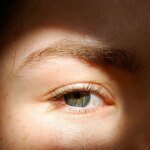 eva-wilcock-S886hdcSWrY-unsplash-U30201734812juS-1200x630@diario_abc.jpg