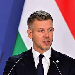hongarije-keurt-wijziging-grondwet-goed-voor-afzetten-president.jpg