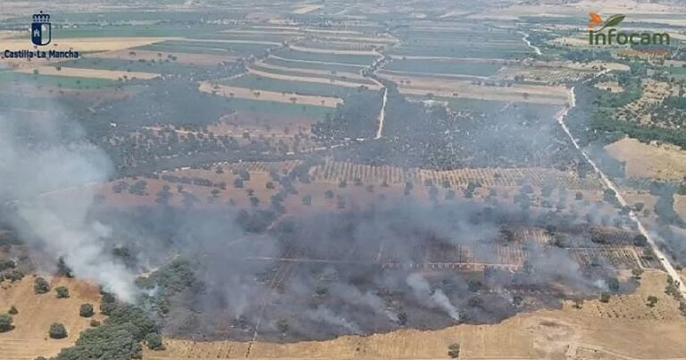 incendio-malpica-U82760713862lrb-1200x630@diario_abc.jpg