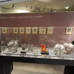 mogelijk-miljoenen-euros-aan-sieraden-gestolen-uit-frans-museum.jpg