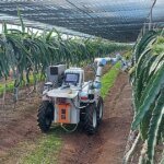 robot-upv-U51085631157LWQ-1200x630@diario_abc.jpg