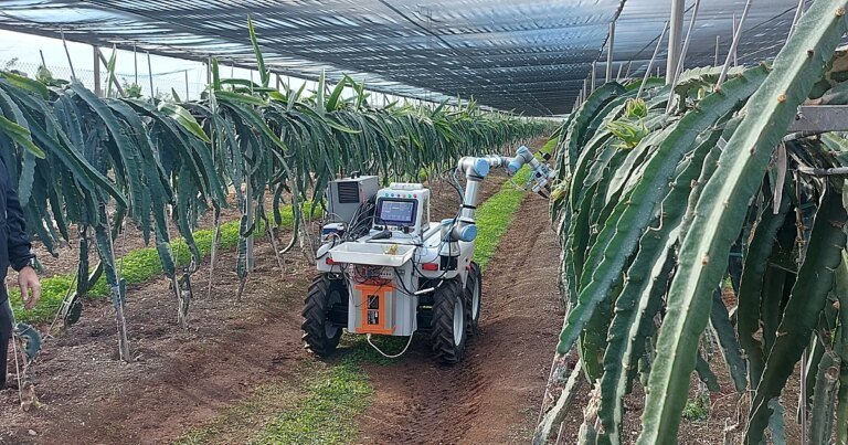 robot-upv-U51085631157LWQ-1200x630@diario_abc.jpg