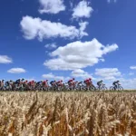 rouen-france-july-08-a-general-view-of-the-peloton-passing-through-a-landscape-during-the-112th-tour.webp