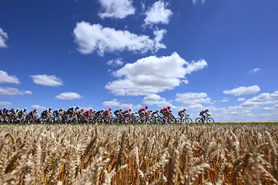 rouen-france-july-08-a-general-view-of-the-peloton-passing-through-a-landscape-during-the-112th-tour.webp