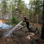 topshot-a-firefighter-operates-during-a-fire-in-the-fontainebleau-forest-in-noisy-sur-ecole-in-the-p.webp