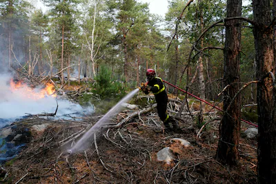 topshot-a-firefighter-operates-during-a-fire-in-the-fontainebleau-forest-in-noisy-sur-ecole-in-the-p.webp